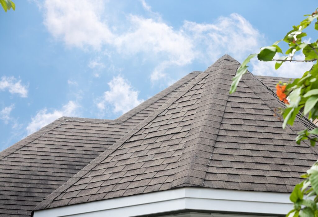 A roof with gray asphalt shingles, reminiscent of the quality found in roofing Monroeville PA, is shown under a blue sky with scattered clouds. A few green leaves and an orange flower are visible in the bottom right corner.